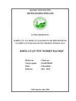 Nghiên cứu xác định các loại dịch vụ hệ sinh thái rừng tự nhiên tại xã rã bản   huyện chợ đồn   tỉnh bắc kạn 