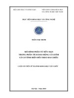 Mô hình phần tử hữu hạn trong phân tích dao động của dầm có cơ tính biến đổi theo hai chiều