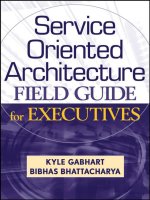Wiley service oriented architecture field guide for executives aug 2008 ISBN 0470260912 pdf 