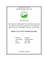 Thực hiện quy trình trồng và chăm sóc bảo vệ rừng sau trồng vụ xuân hè tại đội sản xuất xã hợp tiến thuộc công ty lâm nghiệp   huyện đồng hỷ   tỉnh thái nguyên 