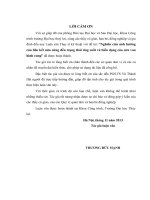 “Nghiên cứu ảnh hưởng  của liên kết nửa cứng đến trạng thái ứng suất và biến dạng của cửa van  hình cung”