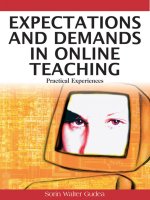 IGI global expectations and demands in online teaching practical experiences may 2008 ISBN 1599047470 pdf 