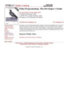 OReilly palm programming the developers guide dec 1998 ISBN 1565925254 pdf 