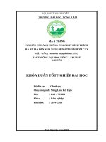 Nghiên cứu ảnh hưởng của chất kích thích ra rễ IAA đến khả năng hình thành hom cây mật gấu (vernonia amygdalina delile) tại trường đại học nông lâm thái nguyên 