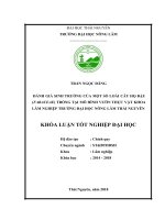 Đánh giá sinh trưởng của một số loài cây họ đậu (fabaceae) trồng tại mô hình vườn thực vật khoa lâm nghiệp trường đại học nông lâm thái nguyên 