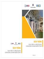 SÁCH TRẮNG RỦI RO THIÊN TAI - BIẾN ĐỔI KHÍ HẬU VÀ HÀNH ĐỘNG CỦA DOANH NGHIỆP VIỆT NAM SÁCH TRẮNG