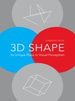 MIT press 3d shape its unique place in visual perception apr 2008 ISBN 0262162512 pdf 
