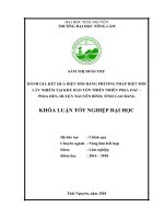 Đánh giá kết quả diệt mối bằng phương pháp diệt mối lây nhiễm tại khu bảo tồn thiên nhiên phja oắc – phja đén   huyện nguyên bình   tỉnh cao bằng 
