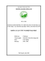 Đánh giá sinh trưởng của một số loài cây bản địa tại vườn thực vật trường đại học nông lâm thái nguyên 
