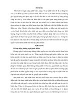Hoạt động của Kiểm sát viên khi kiểm sát việc giải quyết vụ án hành chính theo thủ tục phúc thẩm.