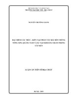 Đặc điểm cấu trúc   kiến tạo phần tây bắc bồn trũng nông sơn, quảng nam và sự tạo khoáng urani trong cát kết