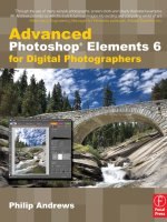 Focal press advanced photoshop elements 6 for digital photographers feb 2008 ISBN 0240520971 pdf 