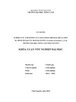 Nghiên cứu ảnh hưởng của chất kích thích ra rễ IAA đến sự hình thành cây hom dạ hương (cestrum nocturnum l ,) tại trường đại học nông lâm thái nguyên 