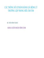 CÁC THÔNG SỐ CƠ BẢN ĐÁNH GIÁ BỆNH LÝ THƯỜNG GẶP TRONG SIÊU ÂM TIM