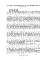 Sáng kiến kinh nghiệm.doc mon LS  châu lop 5