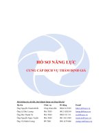 HỒ SƠ NĂNG LỰC CUNG CẤP DỊCH VỤ THẨM ĐỊNH GIÁ
