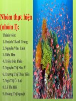 ĐA DẠNG LOÀI  GÍA TRỊ ĐA DẠNG LOÀI