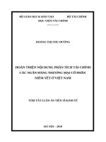 Hoàn thiện nội dung phân tích tài chính các ngân hàng thương mại cổ phần niêm yết ở việt nam tt 