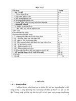 Một số kinh nghiệm rèn kỹ năng phân dạng và giải bài tập nhận biết các chất vô cơ để nâng cao chất lượng giảng dạy cho học sinh lớp 9 