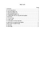 Cách sử dụng trang ảnh trong dạy học lịch sử ở lớp 8 trường THCS đông cương 