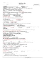 Giai chi tiet de thi thu TN 15 cua truong hoang hoa tham TP HCM 