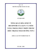 Tổng quan hóa sinh về receptor của GLP 1 và tiềm năng trong phát triển thuốc điều trị đái tháo đường typ 2 