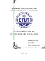 Báo cáo đồ án Nghiên cứu quy trình sản xuất rượu dầm tỏi