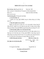 THAM KHAO  LUAN VAN MIMO