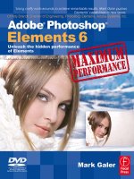 Focal press adobe photoshop elements 6 maximum performance unleash the hidden performance of elements dec 2007 ISBN 0240520920 pdf 