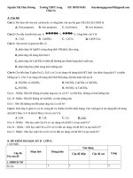 Đề kiểm tra học kì môn hóa học lớp 11 (8) 