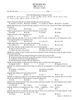 Đề kiểm tra học kì môn hóa học lớp 11 (17) 