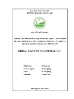 Nghiên cứu ảnh hưởng của một số yếu tố nội tại đến khả năng hình thành cây hom mật gấu (vernonia amygdalina del) tại trường đại học nông lâm thái nguyên 