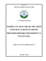 Nghiên cứu bào chế hệ tiểu phân nano bao acid hyaluronic phối hợp dihydroartermisinin và paclitaxel 