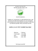 Nghiên cứu ảnh hưởng của hỗn hợp ruột bầu, chế độ che sáng đến sinh trưởng của cây con kháo vàng (machilus bonii lecomte) trong giai đoạn vườn ươm tại trường đại học nông lâm thái nguyên 