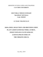 Phân lập, tuyển chọn và định danh vi khuẩn liên kết với thực vật (plant associated bacteria) ở lúa, khoai trồng trên đất phèn ở đồng bằng sông cửu long tt tiếng anh 