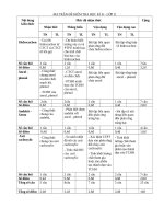 Đề kiểm tra học kì môn hóa học lớp 11 (12) 