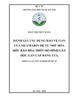 Đánh giá tác dụng bảo vệ gan của silymarin hệ tự nhũ hóa siêu bão hòa trên mô hình gây độc gan cấp bằng CCl4 