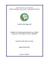 Nghiên cứu đánh giá rủi ro lũ lụt trên hạ du lưu vực sông vu gia   thu bồn 