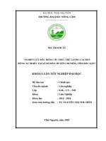 Nghiên cứu đặc điểm cấu trúc, trữ lượng cacbon rừng tự nhiên tại xã rã bản   huyện chợ đồn   tỉnh bắc kạn 