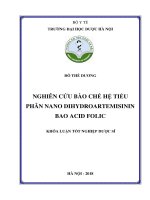 Nghiên cứu bào chế hệ tiểu phân nano dihydroartemisinin bao acid folic 