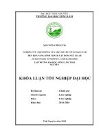 Nghiên cứu ảnh hưởng của một số yếu tố ngoại cảnh đến khả năng hình thành cây hom ngũ gia bì (schefflera octophylia (lour) harms) tại trường đại học nông lâm thái nguyên 