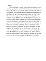 Phân tích đồi tượng điều chỉnh phương pháp điều chỉnh của luật hiến pháp? Hãy chứng minh trong hệ thống pháp luật việt nam ngành luật hiến pháp giữ vị trí chủ đạo