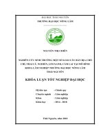 Nghiên cứu sinh trưởng một số loài cây bản địa chò chỉ, trai lý, nghiến, lim xanh, cẩm lai tại mô hình khoa lâm nghiệp trường đại học nông lâm thái nguyên 