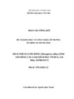 KÍCH THÍCH LƯƠN ĐỒNG (Monopterus albus) SINH SẢN BẰNG CÁC LOẠI KÍCH DỤC TỐ HCG, LH-RHa, SUPREFACT.