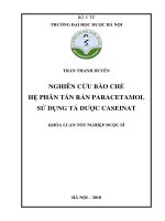 Nghiên cứu bào chế hệ phân tán rắn paracetamol sử dụng tá dược caseinat 