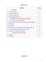 Một số biện pháp ứng dụng công nghệ thông tin trong dạy học môn toán lớp 5  