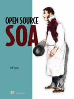Manning open source SOA jun 2009 ISBN 1933988541 pdf 