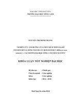 Nghiên cứu ảnh hưởng của chất kích thích sinh trưởng FITOMIX đến khả năng hình thành cây hom dâm bụt (hibiscus rosa sinensis) tại trường đại học nông lâm thái nguyên 