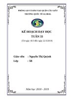 Chương trình dạy học tuần 33