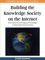 IGI global building the knowledge society on the internet sharing and exchanging knowledge in networked environments jun 2008 ISBN 1599048167 pdf 